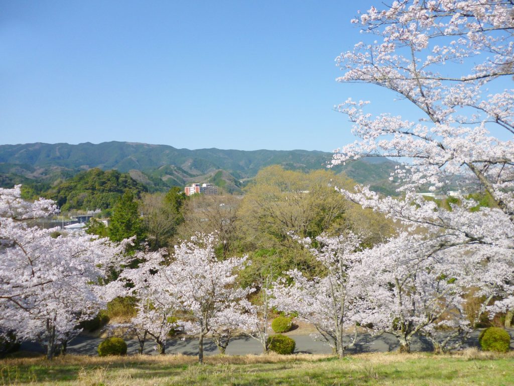 和歌山県橋本市